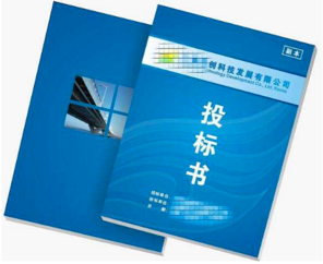 項目標書翻譯多少錢，標書翻譯公司報價